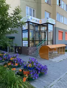 Фотография Пуговка 1